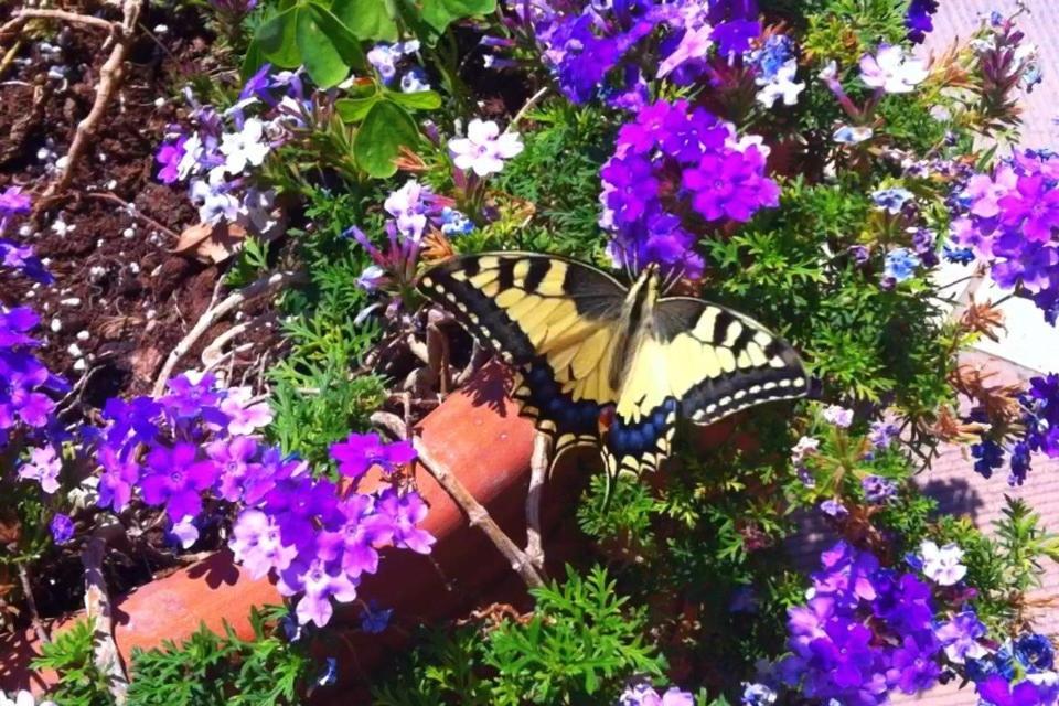 Apartments Corfu Sun Pool Side Benitses  Exterior foto